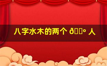 八字水木的两个 🌺 人